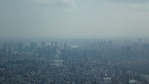 DSC00320