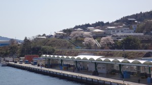 DSC00439