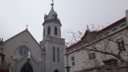 DSC00539