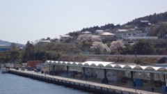 DSC00439