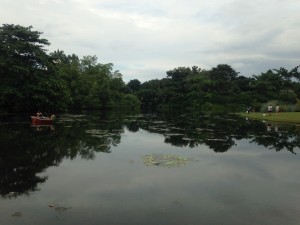IMG_0381