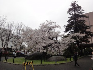 DSC05472