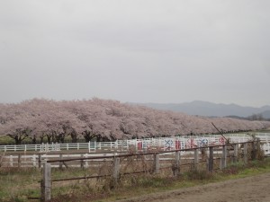 DSC05478