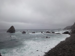 DSC06113