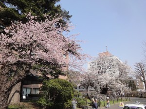 DSC06247