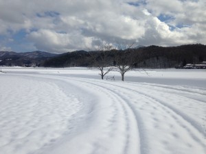 IMG_0722