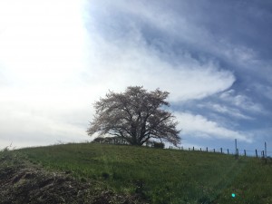 IMG_1773